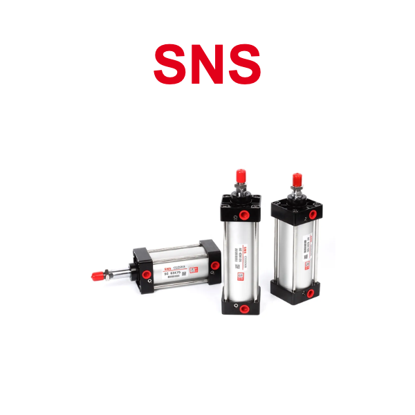 SNS